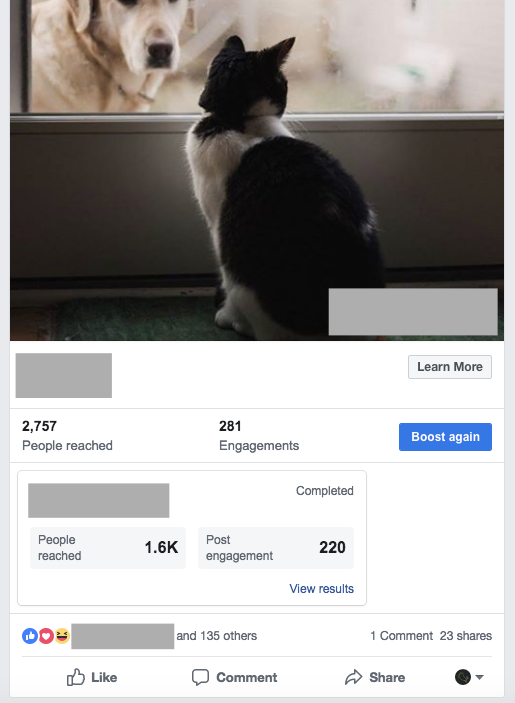 Content-Marketing-Social-Media-Share-Example